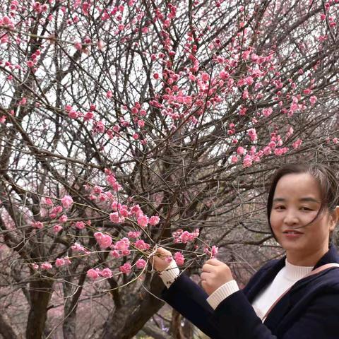 撷一抹诗意 寻一路花开 —实验中学苦竹校区优秀教师教育故事分享 （第三期 2 ）