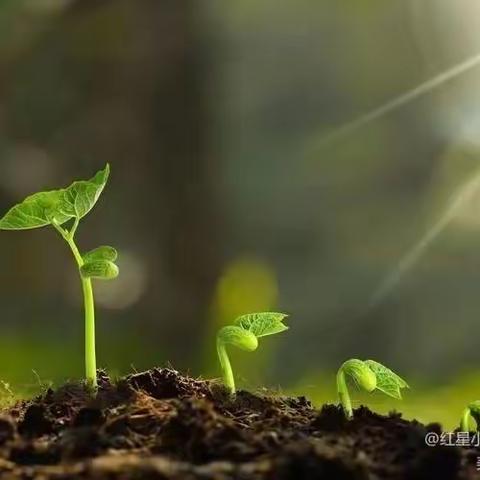 晨风习习  相约而至