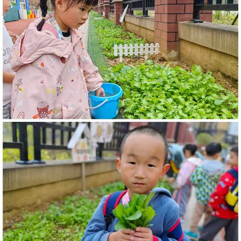 美好的一周——观山湖区第四十幼儿园中五班