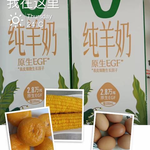 营养美食，伴我成长——十字小学一周食谱回顾