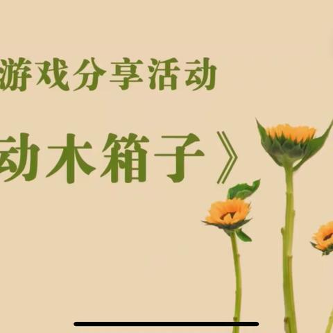 大班  游戏分享《移动木箱子》