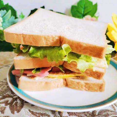 🍣美“食”相伴•“育”见成长🥪