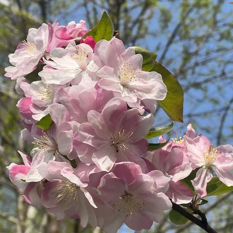 至善班第九周周末家话