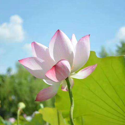 至善班第十九周周末家话