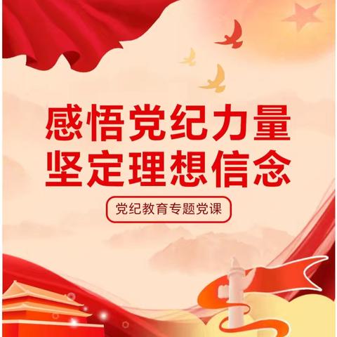 感悟党纪力量，坚定理想信念——党纪教育专题党课