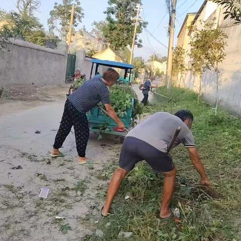 刘振屯镇开展周五清洁日活动