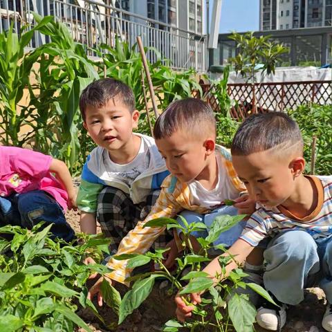 艾迪儿婴幼中心牛津B班🏫第十三周成长记