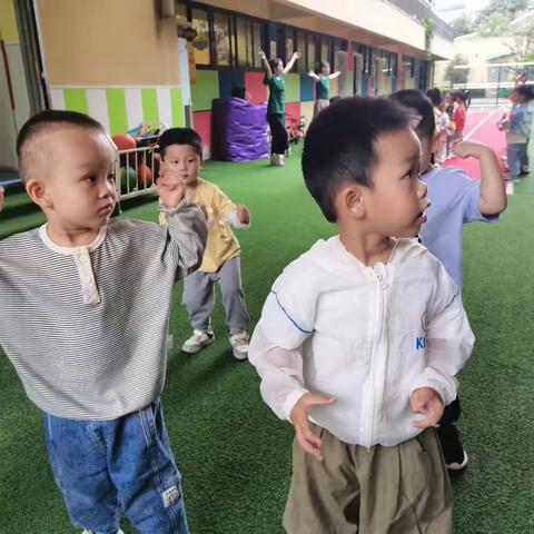 启航幼儿园苗苗1班第四周精彩回顾