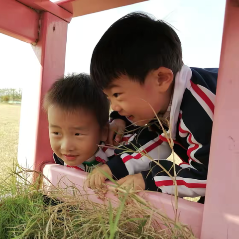 “薯”与“泥”的快乐🍂——仕方幼儿园秋游活动