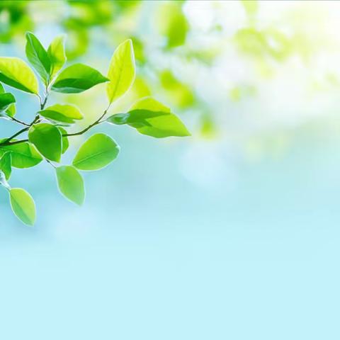 岁月鉴初心 荣休敬韶华---金库管理中心为退休员工举行退休欢送会暨工会下午茶活动