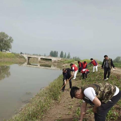 清理河道垃圾  守护绿水新颜： 长兴集乡开展河道沟渠清理整治行动