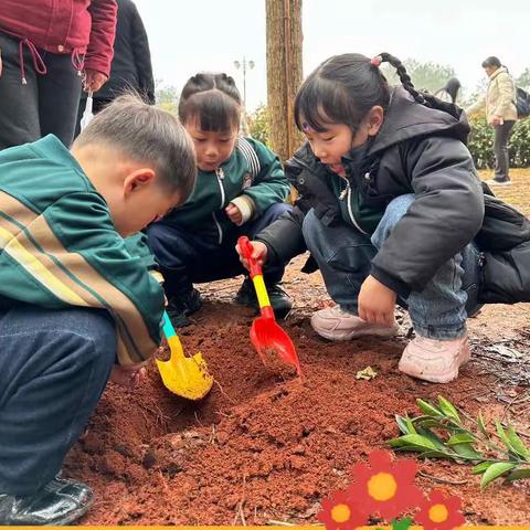 童心童趣｜美童幼儿园中（3）班第三周精彩瞬间