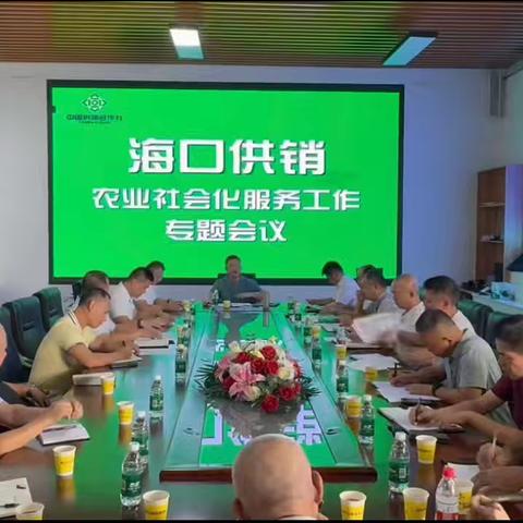 海口市供销集团组织召开海口供销农业社会化服务专题会
