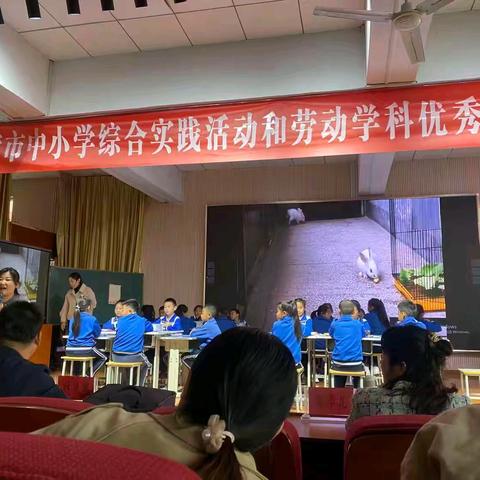 示范引领绽芳华，聚力前行促成长——东营市小学综合实践活动和劳动学科优秀课例巡讲活动