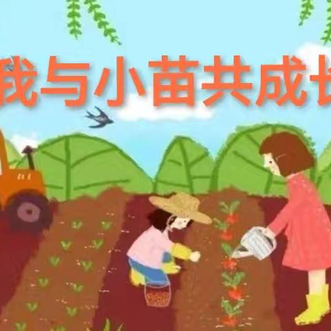 “我与小苗共成长” 启慧幼儿园小二班 种植区活动