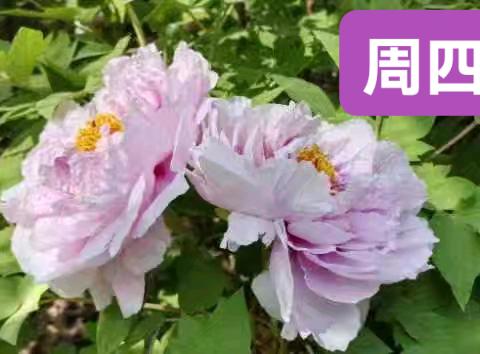 智翼托管中心食谱