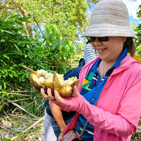 打卡沙巴水果庄园、巧克力店