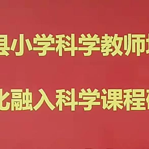 鱼台县小学科学骨干教师——济宁市小学科学“黄河文化融入学科课程教学”线上观摩研讨活动