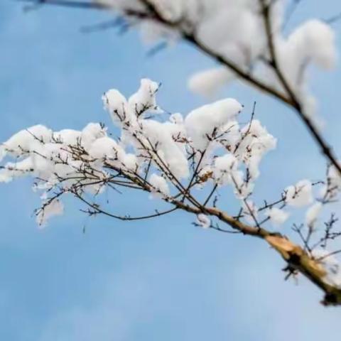 明理中学  冬日来信