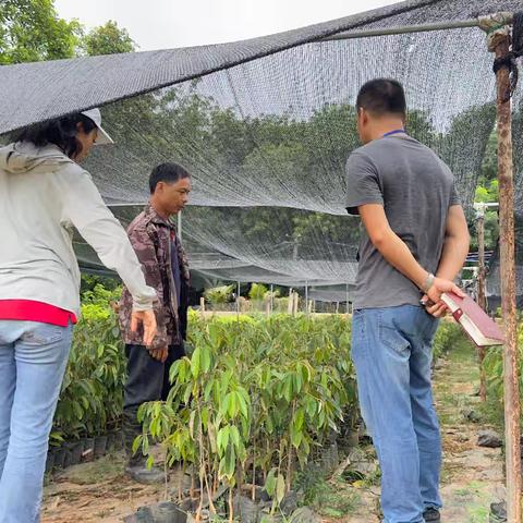 努力在四季 雨季是旺季