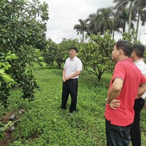 关注红橙基地，台风后的一线调研。