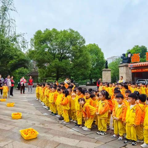 早操展风采，锻炼促成长 ——新天卫城幼儿园春季器械操比赛