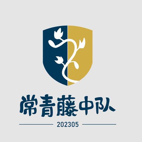 2305班常青藤中队第二周小结