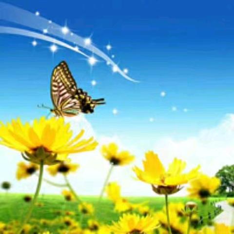 同课异构展风采，异彩纷呈显匠心—舞钢市第六小学三年级语文组公开课教研活动