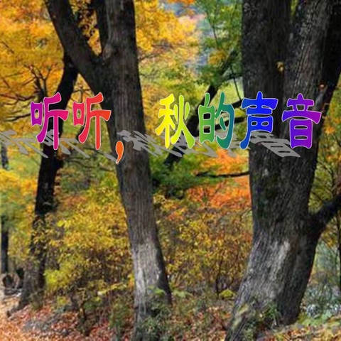 展示促成长，磨砺出精彩——舞钢市第六小学三年级语文组公开课教研活动