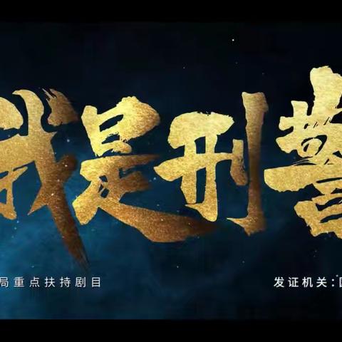 《我是刑警》观后感 正义同行——守护之光