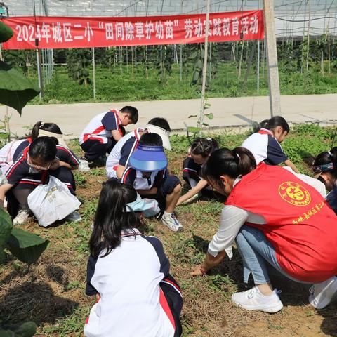 “劳”以启智，“动”以润心——西峡县城区第二小学爱劳动主题教育活动