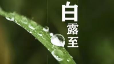 秋意渐浓，万物有收