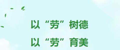 🌺🌺以“劳”树德  以“劳“育美——南岗小学劳动教育活动纪实💐💐