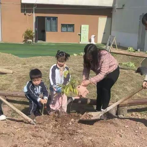 福园动态·亲自然『护绿小使者』——福临幼儿园植树节系列活动