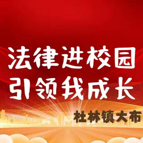 法律进校园，引领我成长——大布村小学法制讲座