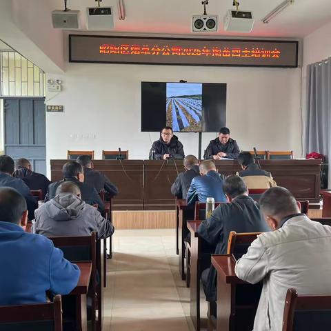 昭阳区开展烤烟掏苗回土技术培训会