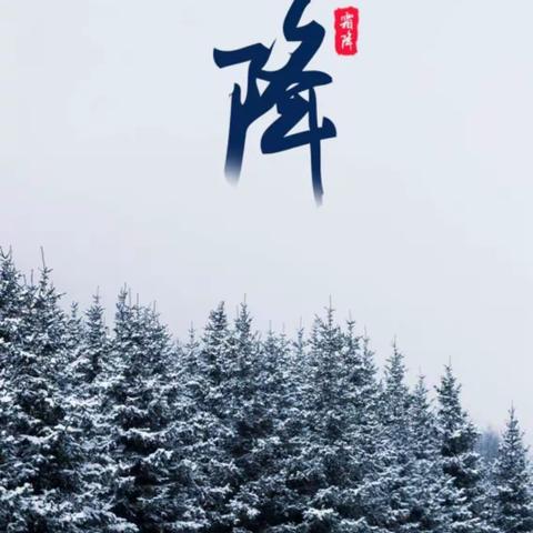 岁月今朝是霜降  人生昨日又重阳
