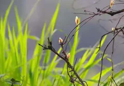 三月份七组例会