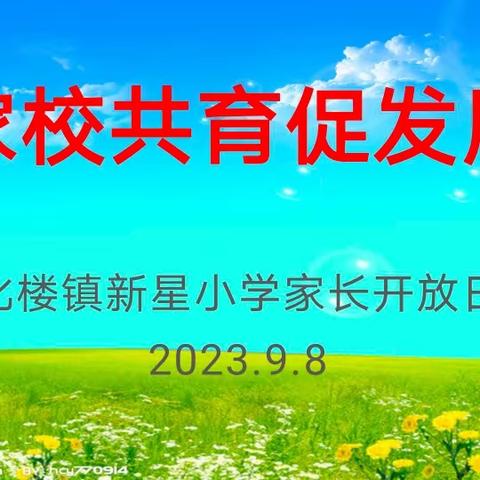 全环境立德树人家校携手共成长——化楼镇新星小学家长开放日活动