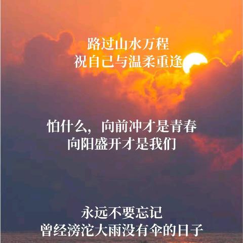 ☀追光的人，终会光芒万丈—星澜十六周总结