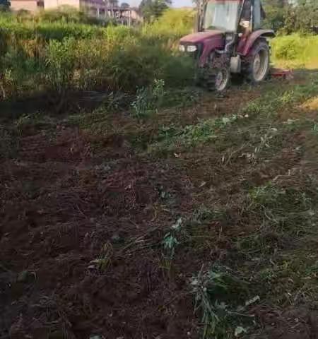 全力推进耕地“进出平衡”工作