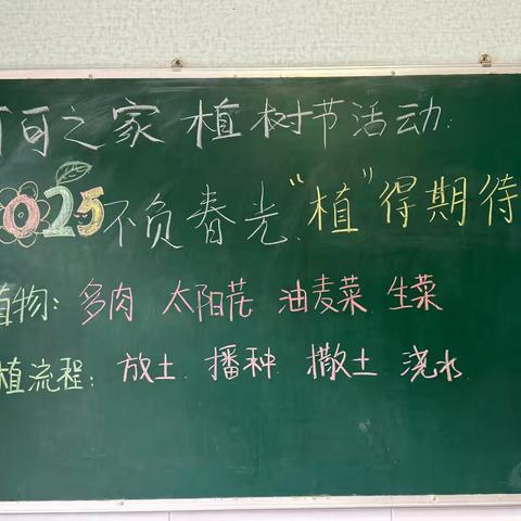 从一粒种子到一口鲜甜｜孩子们的蔬菜成长记