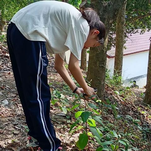 东坪中学生物调查2313班谌李静怡