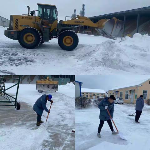 以雪为令 保粮当行丨供销萝北公司开展清雪保粮活动