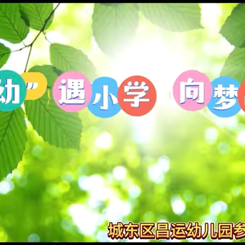 “幼”遇小学  向梦出发———城东区昌运幼儿园参观小学新体验