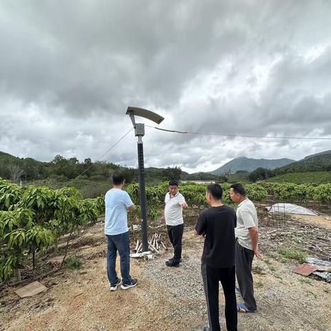 区委常委、区政府常务副区长符启川到力村、土壤水库检查防汛工作