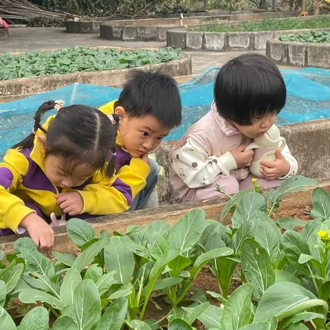 小一班一周精彩回顾：颜色蹦蹦跳，成长不打烊