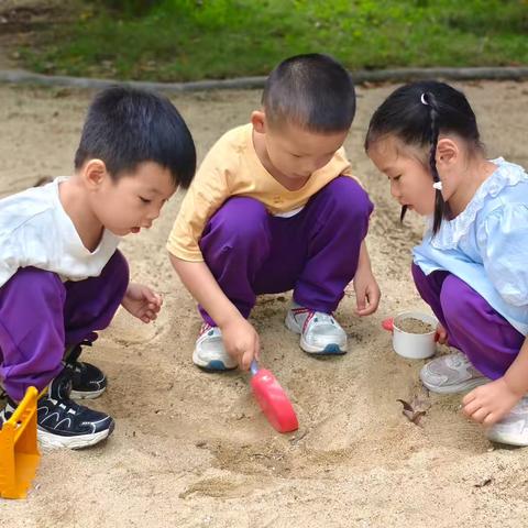 水果奇遇记——小一班一周精彩瞬间