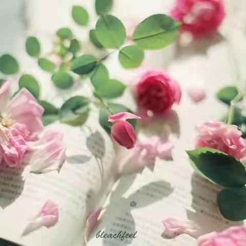 【全环境立德树人 办人民满意教育】追光阅读路 照亮读书人——海阳市行村镇赵疃学校“读经典，品书香，为成长奠基”读书演讲比赛