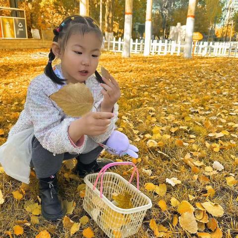 “亲近自然，拥抱秋天”生成课——格尔木市未来星幼儿园小二班